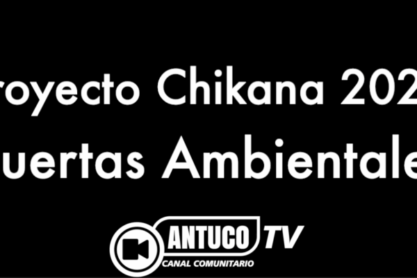 Proyecto Chikana 2025