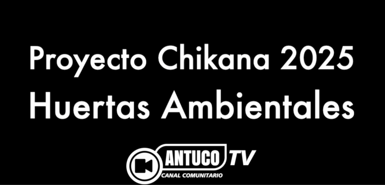 Proyecto Chikana 2025